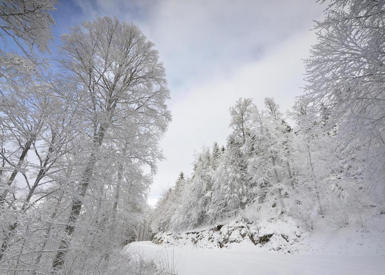 Вілла Gite Face Au Vercors Marches Екстер'єр фото