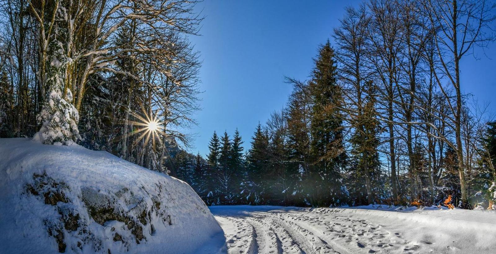 Вілла Gite Face Au Vercors Marches Екстер'єр фото